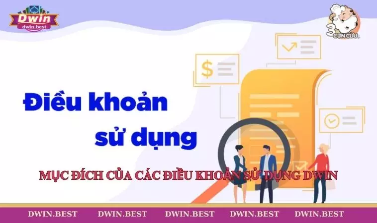 Dieu khoan su dung DWIN 2 Mục đích của các điều khoản sử dụng trên nền tảng DWIN