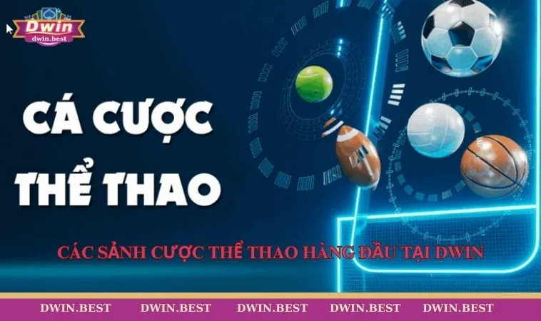The Thao DWIN 3 Các sảnh cược thể thao hàng đầu tại DWIN