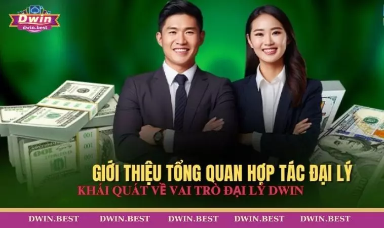 dai ly DWIN 2 Khái quát về vai trò đại lý DWIN